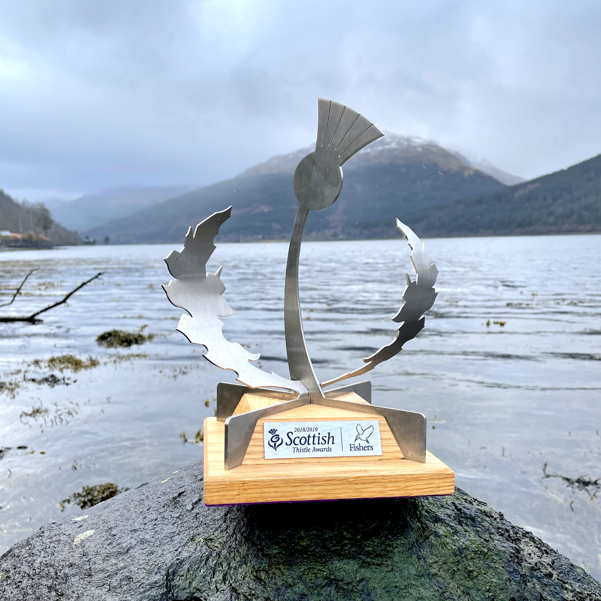 Visit Scotland Thistle Award
