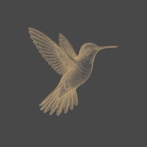 An illustration of a humming bird in the Tip Your Feathers colour palette